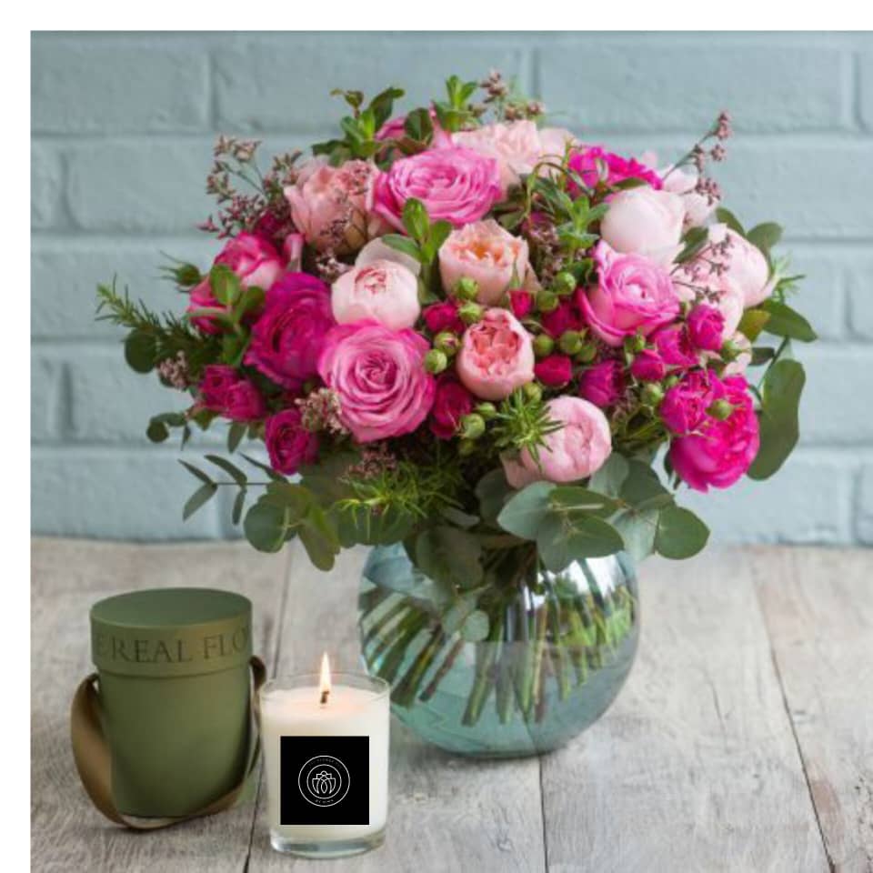 Soft Petals, Warm Light